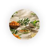 Himalayan sea buckthorn landscape